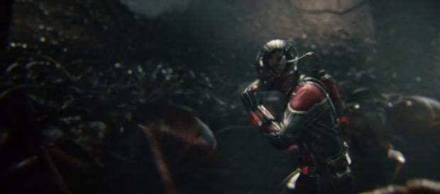 Scott Lang y su ejercito de hormigas Scott Lang y su ejercito de hormigas