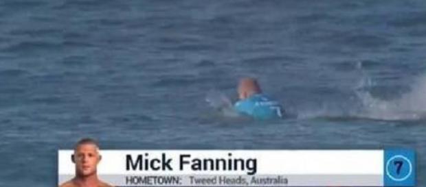 Surfista atacado por tubarão não se feriu Surfista atacado por tubarão não se feriu