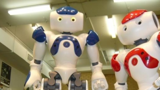 Due robot NAO alle prese con una palla