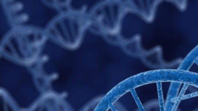 Esercitati per il test di Medicina 2015