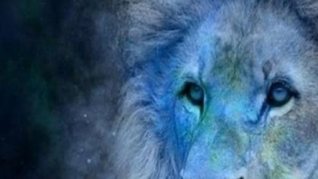 Il Leone, il segno che governa il mese di Luglio