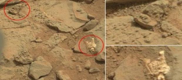 Presunto scheletro alieno scoperto dal Curiosity Presunto scheletro alieno scoperto dal Curiosity