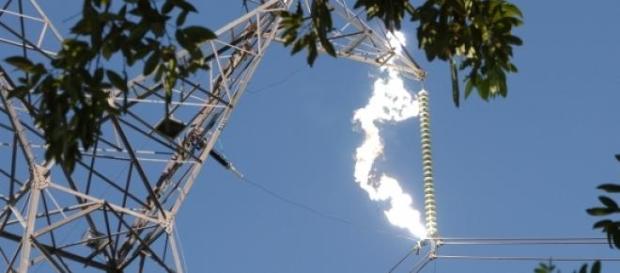 Arco eléctrico revelou-se fatal para o emigrante. Arco eléctrico revelou-se fatal para o emigrante.