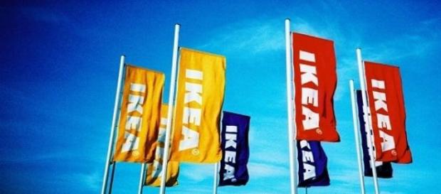 Le aziende che assumono entro la fine del 2015 Le aziende che assumono entro la fine del 2015
