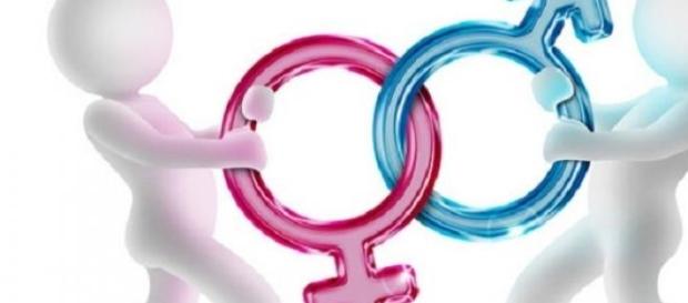 Riforma scuola e 'gender' news Riforma scuola e 'gender' news