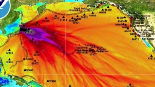 Fukushima ha contaminato quasi 1/3 degli oceani 