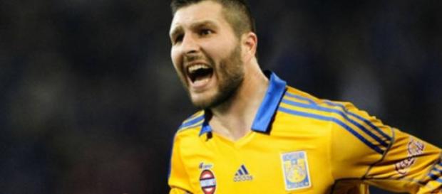 Tigres finalista de la Libertadores Tigres finalista de la Libertadores
