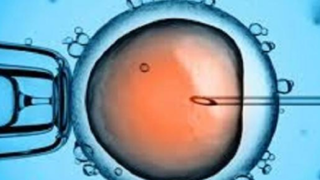 Gravidanza postale con la fecondazione eterologa