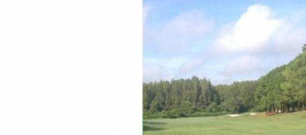 Tree covered Fairway. Very Scenic Tree covered Fairway. Very Scenic