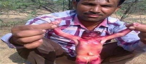 Presunto alieno trovato in India Presunto alieno trovato in India