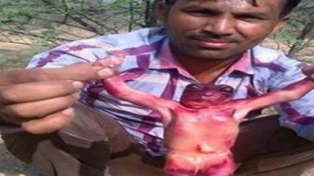 Presunto alieno trovato in India