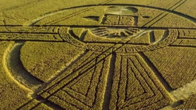 Crop Circle avvistato in Inghilterra