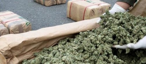Quali vantaggi con legalizzazione della cannabis