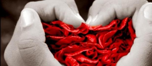 el amor siempre es impredecible el amor siempre es impredecible