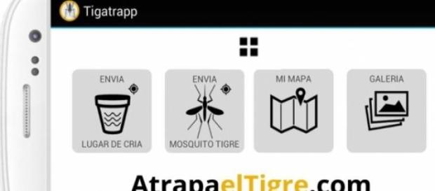 Interface de la aplicación Tigatrapp. Interface de la aplicación Tigatrapp.
