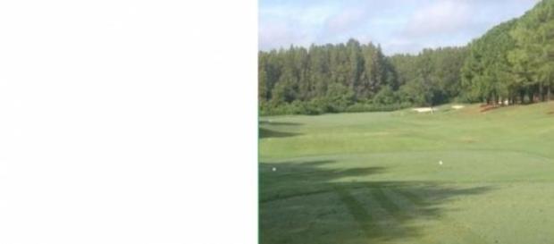 Picture of a great manicured tee box to fairway.!. Picture of a great manicured tee box to fairway.!.