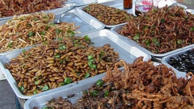 Insetti fritti a Bangkok (foto di Takoradee)