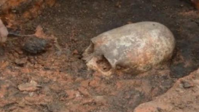Teschio allungato scoperto in Russia