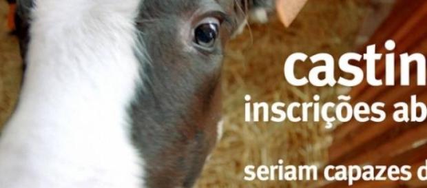'A Quinta' será produzida pela Endemol. 'A Quinta' será produzida pela Endemol.