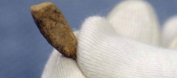 La dent de Tautavel : âgée de 560 000 ans La dent de Tautavel : âgée de 560 000 ans