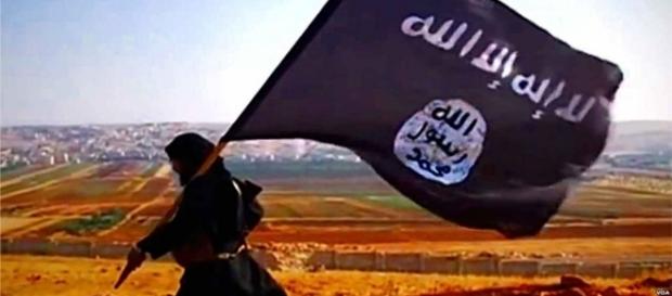 Muchos ex talibanes pasaron a las filas de ISIS Muchos ex talibanes pasaron a las filas de ISIS