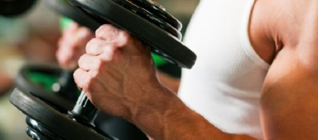 São muitos os mitos associados ao uso da proteína São muitos os mitos associados ao uso da proteína