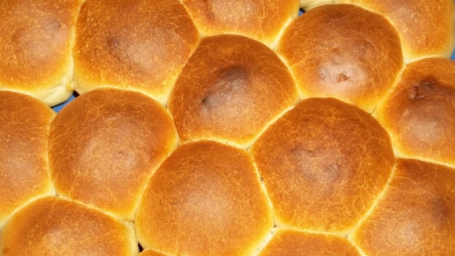 Il danubio salato vegetariano.