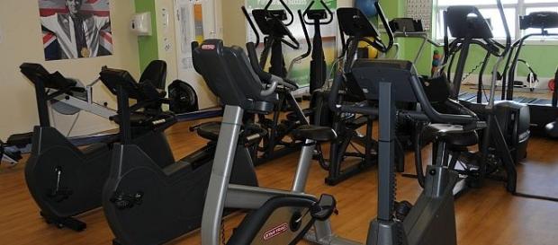 Bicicletas Elípticas y Cintas de Correr Bicicletas Elípticas y Cintas de Correr