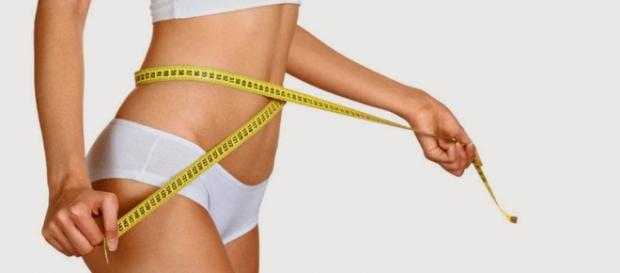 Perca barriga com leite de alpiste Perca barriga com leite de alpiste