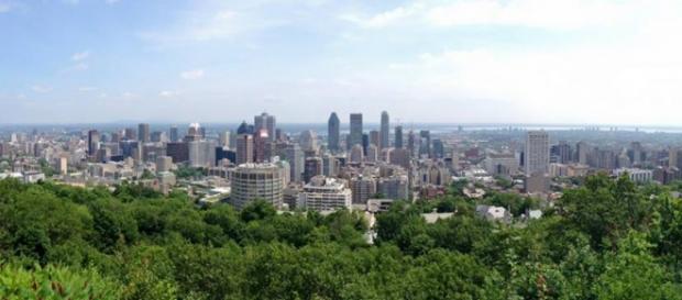 vista della città dal parco di Mont-royal vista della città dal parco di Mont-royal