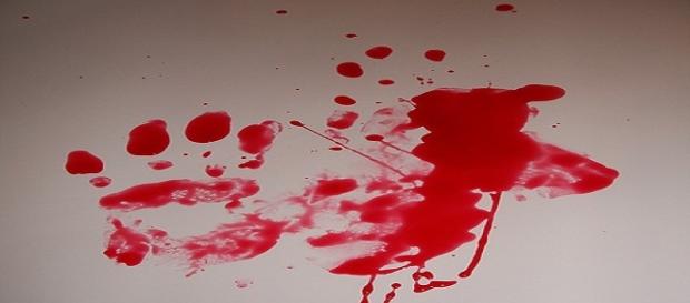 Caso Fassi, approfondimenti ed aggionarmenti Caso Fassi, approfondimenti ed aggionarmenti