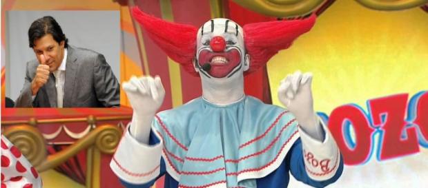 Haddad está com medo de Bozo nas eleições Haddad está com medo de Bozo nas eleições