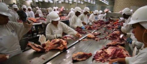 Carne argentina será exportada a EE.UU.