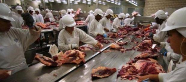 Carne argentina será exportada a EE.UU. Carne argentina será exportada a EE.UU.
