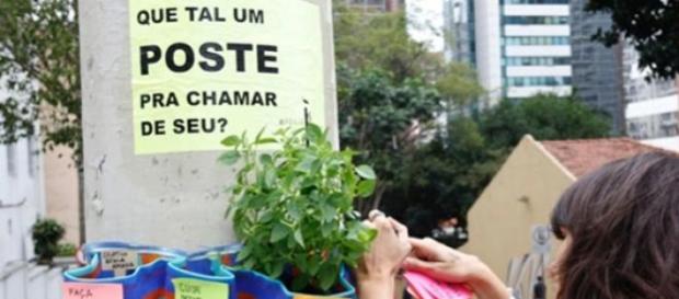 Coletivo Escala Humana plantando ervas nos postes Coletivo Escala Humana plantando ervas nos postes