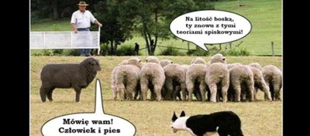 Człowiek i pies są w zmowie! Człowiek i pies są w zmowie!