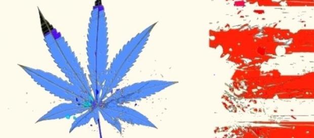 Colorado legalizuje marihuanę Colorado legalizuje marihuanę