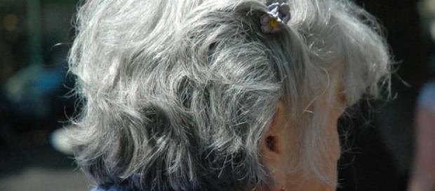 Pensioni anticipate, focus sul piano flessibilità Pensioni anticipate, focus sul piano flessibilità