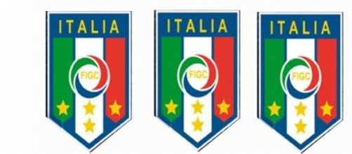 La FIGC, organizza e controlla il calcio in Italia