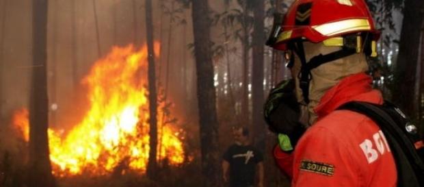 Chamas mobilizam 650 bombeiros Chamas mobilizam 650 bombeiros