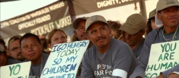 Coalition of Immokalee Workers Coalition of Immokalee Workers