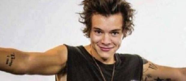 Harry Styles will neue Wege gehen Harry Styles will neue Wege gehen