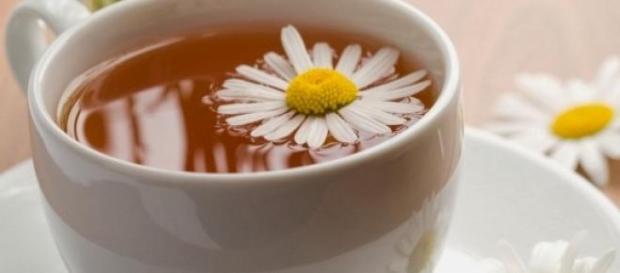 Las infusiones herbales actúan como diuréticos Las infusiones herbales actúan como diuréticos