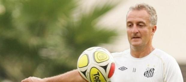 Dorival Júnior será o novo treinador do Santos Dorival Júnior será o novo treinador do Santos