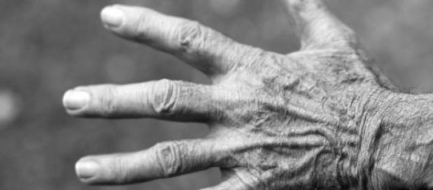 Pensioni Inps, il punto al 9 luglio sulla riforma Pensioni Inps, il punto al 9 luglio sulla riforma