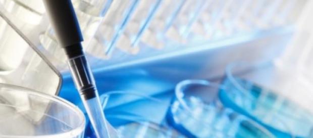 Spór o in vitro tematem rozmów Spór o in vitro tematem rozmów