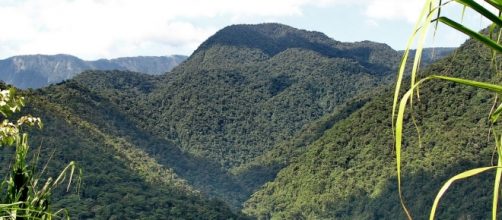 Parque Nacional Braulio Carrillo, Costa Rica