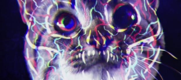 Asleep in the Deep ultimo video clip de Mastodon Asleep in the Deep ultimo video clip de Mastodon