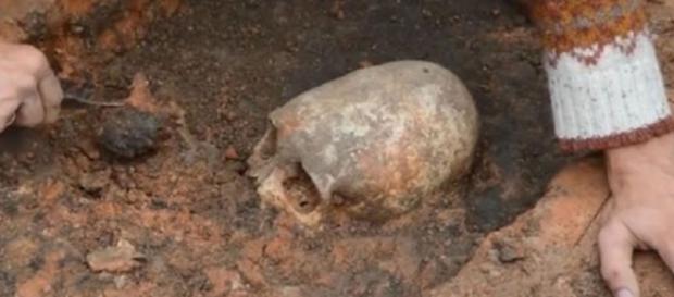 Il cranio 'extraterrestre' di Arkaim Il cranio 'extraterrestre' di Arkaim