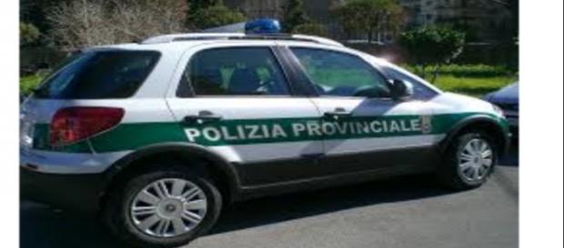 province, via alla mobilità per gli esuberi province, via alla mobilità per gli esuberi